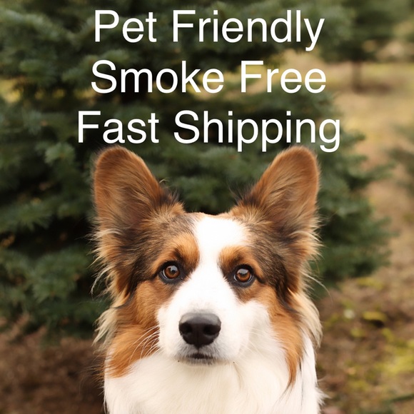 RBX Women’s Plus 2X Black Active Shorts Pull On Waist with Drawstring - Picture 9 of 9